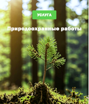 Природоохранные работы Природоохранные работы